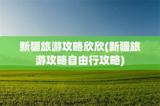 新疆旅游攻略欣欣(新疆旅游攻略自由行攻略)
