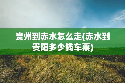 贵州到赤水怎么走(赤水到贵阳多少钱车票)