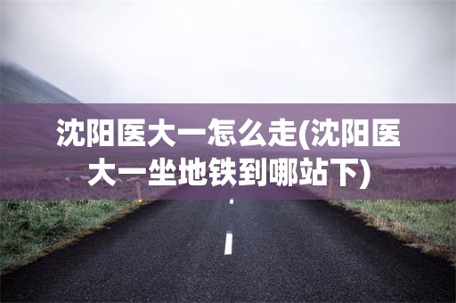 沈阳医大一怎么走(沈阳医大一坐地铁到哪站下)