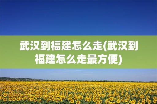 武汉到福建怎么走(武汉到福建怎么走最方便)
