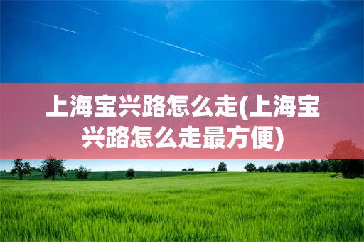 上海宝兴路怎么走(上海宝兴路怎么走最方便)