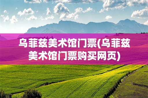 乌菲兹美术馆门票(乌菲兹美术馆门票购买网页)