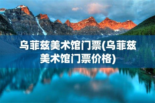 乌菲兹美术馆门票(乌菲兹美术馆门票价格)