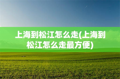 上海到松江怎么走(上海到松江怎么走最方便)