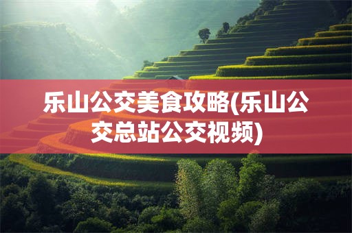 乐山公交美食攻略(乐山公交总站公交视频)
