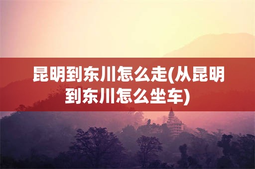 昆明到东川怎么走(从昆明到东川怎么坐车)