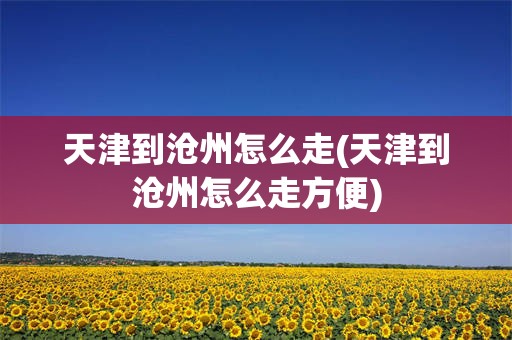 天津到沧州怎么走(天津到沧州怎么走方便)