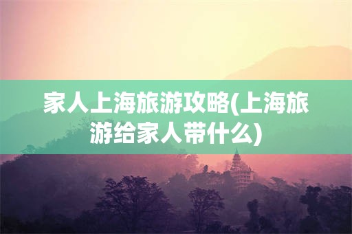家人上海旅游攻略(上海旅游给家人带什么)