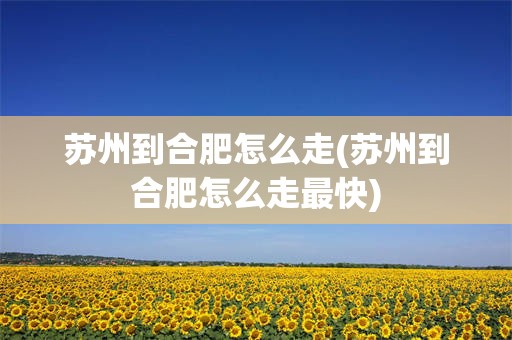 苏州到合肥怎么走(苏州到合肥怎么走最快)
