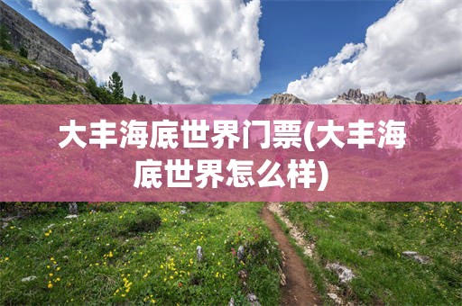 大丰海底世界门票(大丰海底世界怎么样)