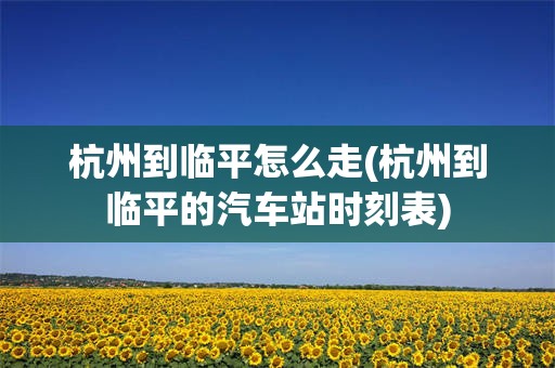 杭州到临平怎么走(杭州到临平的汽车站时刻表)