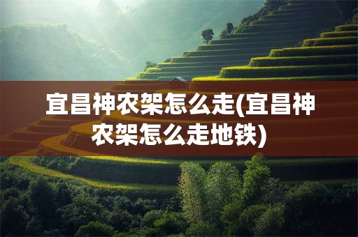 宜昌神农架怎么走(宜昌神农架怎么走地铁)