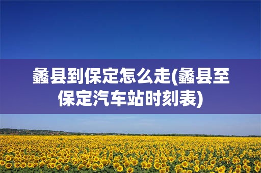 蠡县到保定怎么走(蠡县至保定汽车站时刻表)