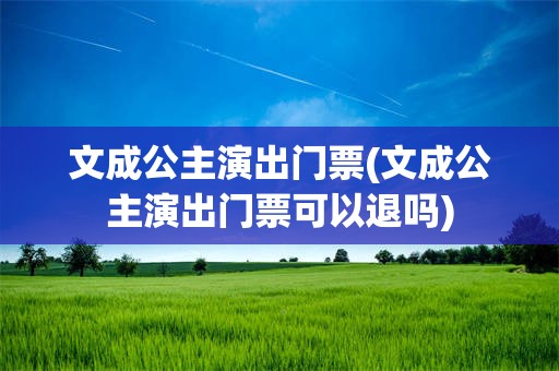 文成公主演出门票(文成公主演出门票可以退吗)