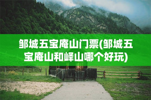 邹城五宝庵山门票(邹城五宝庵山和峄山哪个好玩)