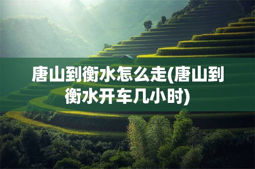 唐山到衡水怎么走(唐山到衡水开车几小时)