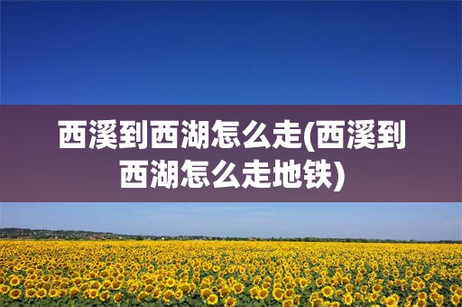 西溪到西湖怎么走(西溪到西湖怎么走地铁)