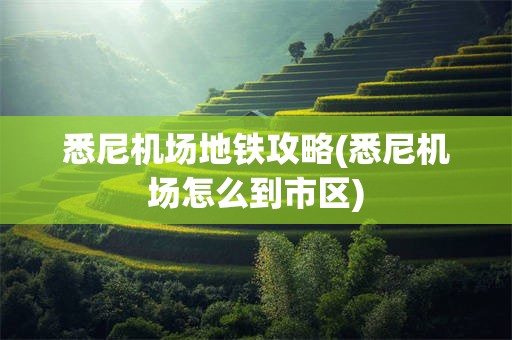 悉尼机场地铁攻略(悉尼机场怎么到市区)