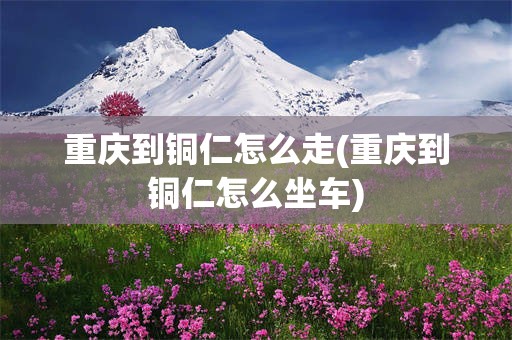重庆到铜仁怎么走(重庆到铜仁怎么坐车)