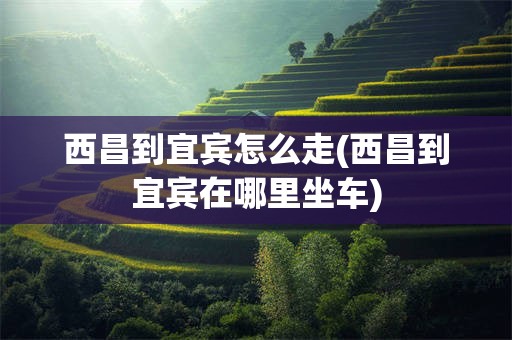 西昌到宜宾怎么走(西昌到宜宾在哪里坐车)