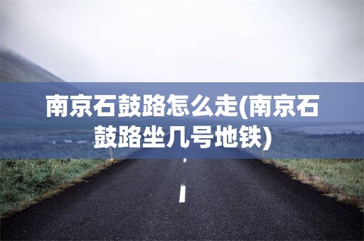 南京石鼓路怎么走(南京石鼓路坐几号地铁)