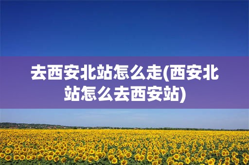 去西安北站怎么走(西安北站怎么去西安站)