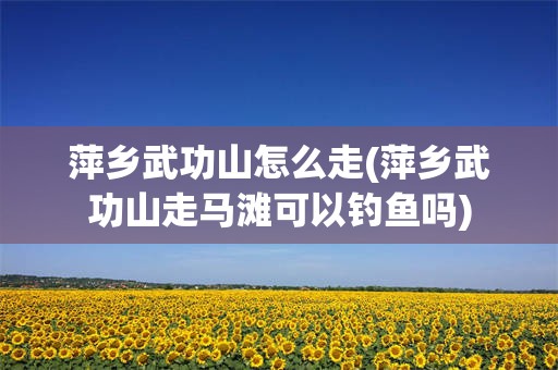 萍乡武功山怎么走(萍乡武功山走马滩可以钓鱼吗)