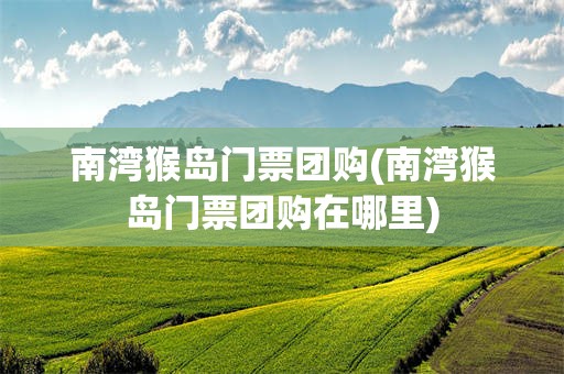 南湾猴岛门票团购(南湾猴岛门票团购在哪里)