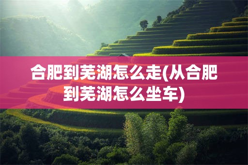 合肥到芜湖怎么走(从合肥到芜湖怎么坐车)