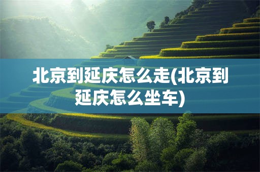北京到延庆怎么走(北京到延庆怎么坐车)