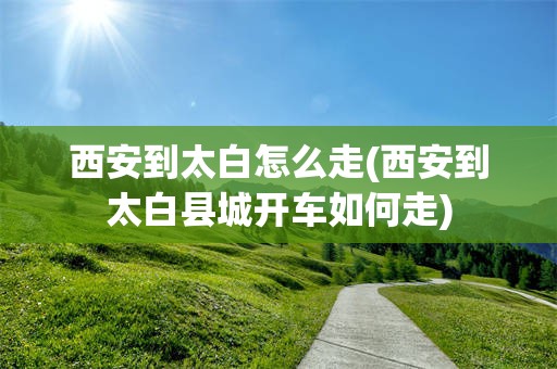 西安到太白怎么走(西安到太白县城开车如何走)
