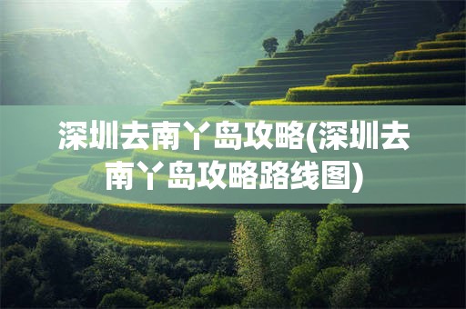 深圳去南丫岛攻略(深圳去南丫岛攻略路线图)