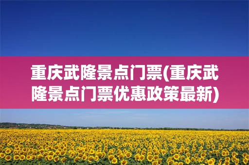 重庆武隆景点门票(重庆武隆景点门票优惠政策最新)