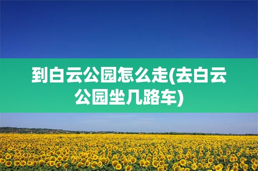 到白云公园怎么走(去白云公园坐几路车)