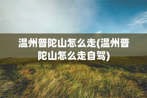 温州普陀山怎么走(温州普陀山怎么走自驾)