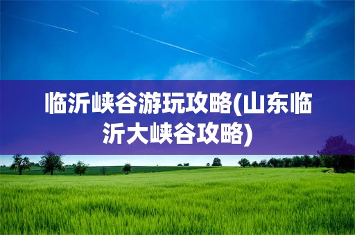 临沂峡谷游玩攻略(山东临沂大峡谷攻略)