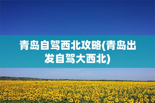 青岛自驾西北攻略(青岛出发自驾大西北)