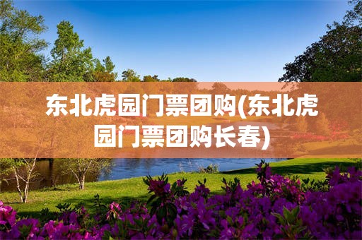 东北虎园门票团购(东北虎园门票团购长春)