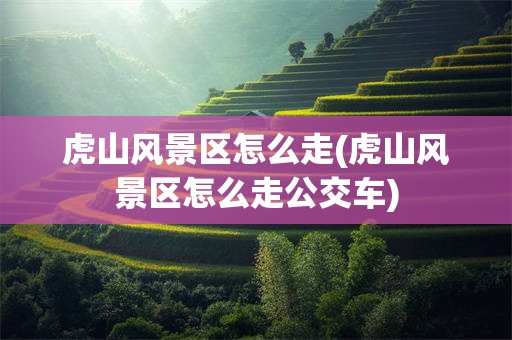 虎山风景区怎么走(虎山风景区怎么走公交车)