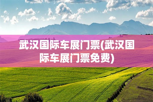 武汉国际车展门票(武汉国际车展门票免费)