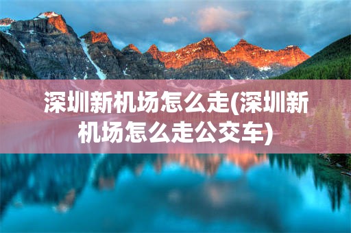深圳新机场怎么走(深圳新机场怎么走公交车)