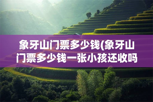 象牙山门票多少钱(象牙山门票多少钱一张小孩还收吗)