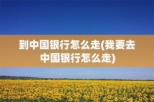 到中国银行怎么走(我要去中国银行怎么走)