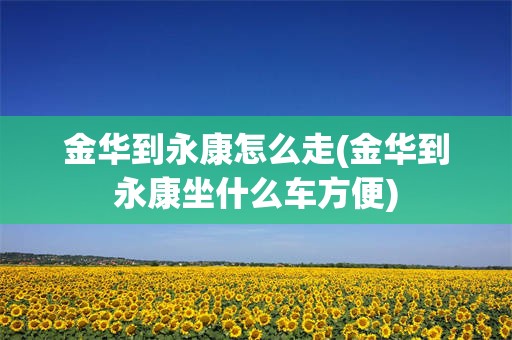 金华到永康怎么走(金华到永康坐什么车方便)