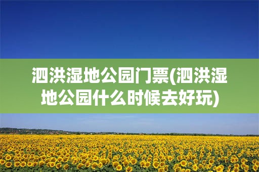 泗洪湿地公园门票(泗洪湿地公园什么时候去好玩)
