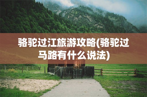 骆驼过江旅游攻略(骆驼过马路有什么说法)