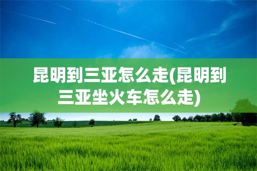 昆明到三亚怎么走(昆明到三亚坐火车怎么走)