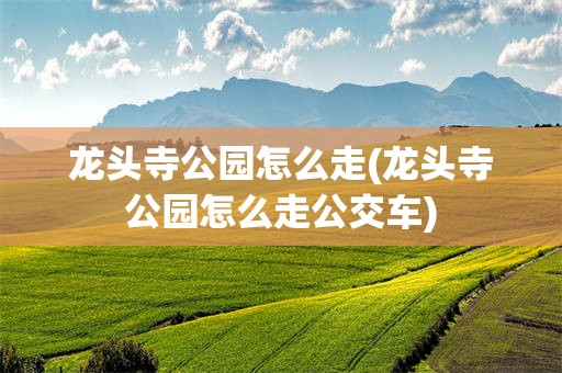 龙头寺公园怎么走(龙头寺公园怎么走公交车)