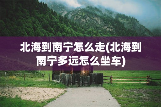 北海到南宁怎么走(北海到南宁多远怎么坐车)