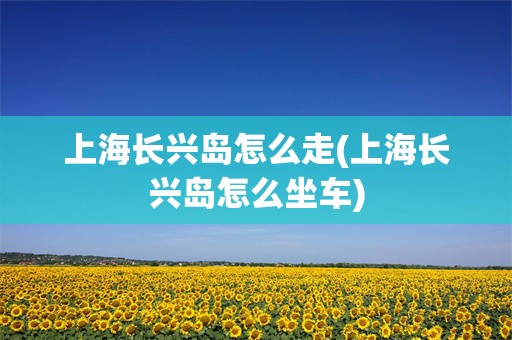 上海长兴岛怎么走(上海长兴岛怎么坐车)